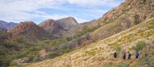 walking tours alice springs