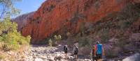 Walking along the Larapinta Trail, NT | Luke Tscharke