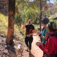 The cultural conversation at Standley Chasm will teach you more about Arrente country | Luke Tscharke