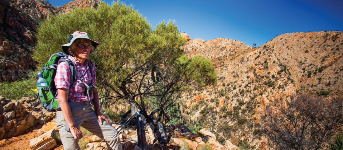 Larapinta Trail Walk Blog The Larapinta Trail a spotlight on a